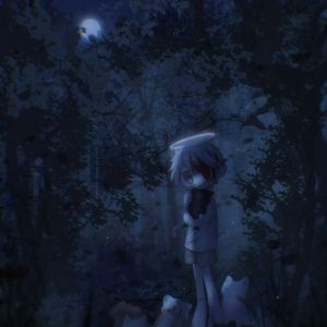 东北二嫂户外直播的录屏在哪里
