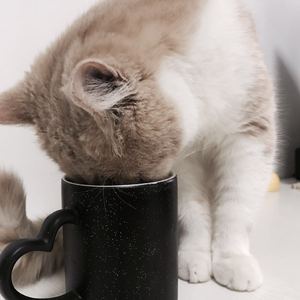 俄罗斯测所偷拍
