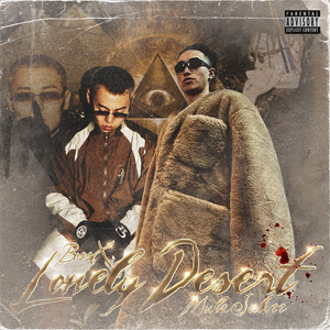 东北二嫂户外直播的录屏在哪里
