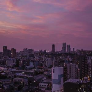 被几个男摁着强进了好爽视频
