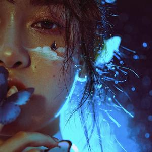 草莓视频污污污在线观看网站
