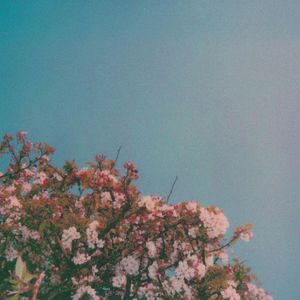 侧厕间谍偷拍视频大全
