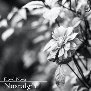 东北二嫂户外直播的录屏在哪里
