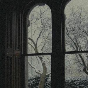 久久久精品欧美一区二区
